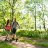 Aufruf des Deutschen Wanderverbandes zum Mitmachen beim “Tag des Wanderns” am 14. Mai